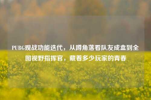 PUBG观战功能迭代,从蹲角落看队友成盒到全图视野指挥官,藏着多少玩家的青春