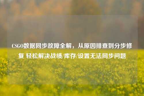 CSGO数据同步故障全解,从原因排查到分步修复 轻松解决战绩/库存/设置无法同步问题