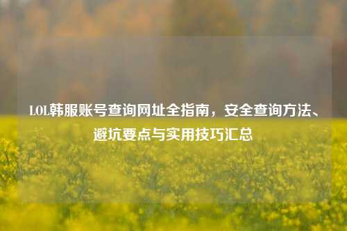 LOL韩服账号查询网址全指南，安全查询方法、避坑要点与实用技巧汇总