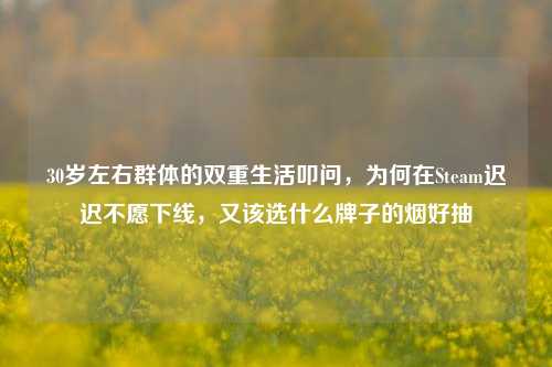 30岁左右群体的双重生活叩问，为何在Steam迟迟不愿下线，又该选什么牌子的烟好抽