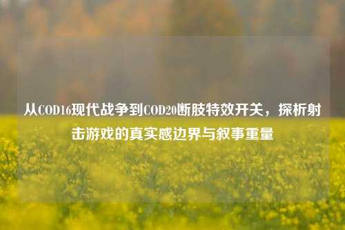 从COD16现代战争到COD20断肢特效开关,探析射击游戏的真实感边界与叙事重量