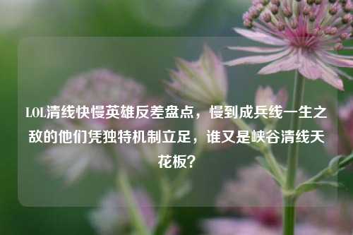 LOL清线快慢英雄反差盘点,慢到成兵线一生之敌的他们凭独特机制立足,谁又是峡谷清线天花板?