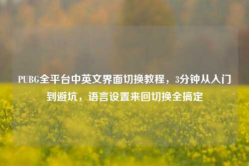 PUBG全平台中英文界面切换教程,3分钟从入门到避坑,语言设置来回切换全搞定