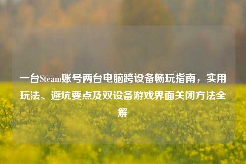 一台Steam账号两台电脑跨设备畅玩指南，实用玩法、避坑要点及双设备游戏界面关闭方法全解