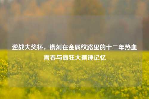 逆战大奖杯，镌刻在金属纹路里的十二年热血青春与疯狂大摆锤记忆