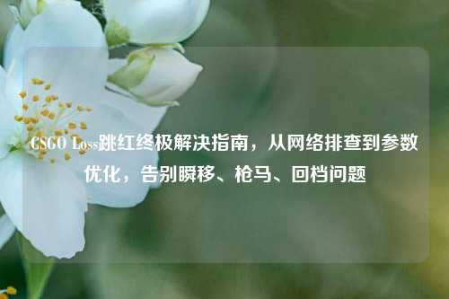 CSGO Loss跳红终极解决指南，从网络排查到参数优化，告别瞬移、枪马、回档问题