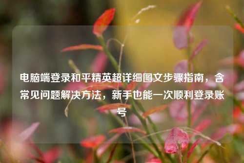 电脑端登录和平精英超详细图文步骤指南，含常见问题解决方法，新手也能一次顺利登录账号