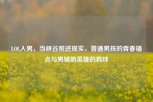 LOL入男，当峡谷照进现实，普通男孩的青春锚点与男辅助英雄的羁绊