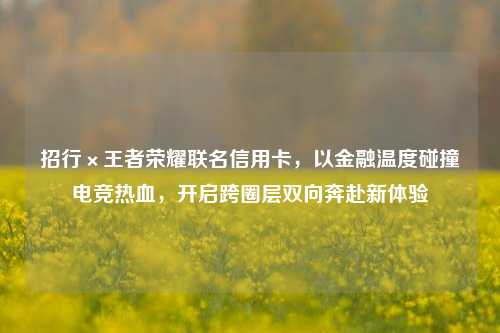招行×王者荣耀联名信用卡,以金融温度碰撞电竞热血,开启跨圈层双向奔赴新体验