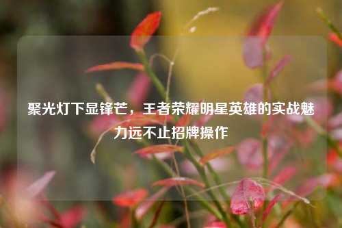 聚光灯下显锋芒，王者荣耀明星英雄的实战魅力远不止招牌操作