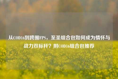 从COD16到跨圈FPS，至圣组合包如何成为情怀与战力双标杆？附COD16组合包推荐