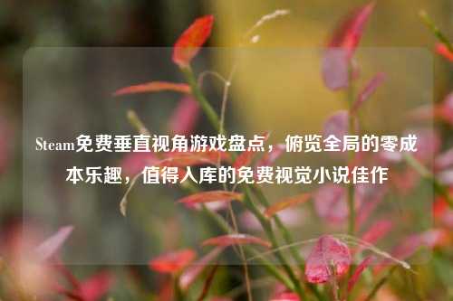 Steam免费垂直视角游戏盘点,俯览全局的零成本乐趣,值得入库的免费视觉小说佳作