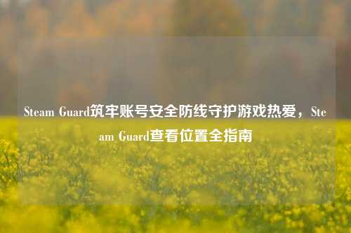 Steam Guard筑牢账号安全防线守护游戏热爱,Steam Guard查看位置全指南
