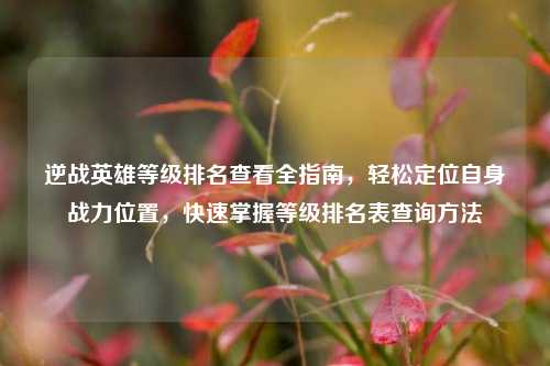 逆战英雄等级排名查看全指南,轻松定位自身战力位置,快速掌握等级排名表查询方法