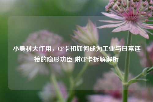 小身材大作用,CF卡扣如何成为工业与日常连接的隐形功臣 附CF卡拆解解析