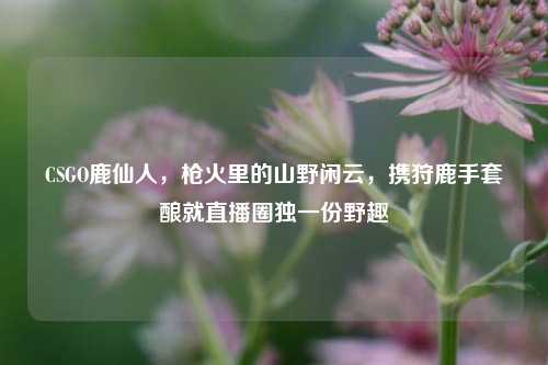 CSGO鹿仙人,枪火里的山野闲云,携狩鹿手套酿就直播圈独一份野趣