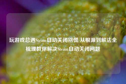玩游戏总遇Steam自动关闭别慌 从根源到解法全梳理教你解决Steam自动关闭问题