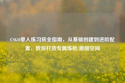 CSGO单人练习房全指南,从基础创建到进阶配置,教你打造专属练枪/跑图空间