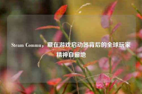 Steam Commu,藏在游戏启动器背后的全球玩家精神自留地