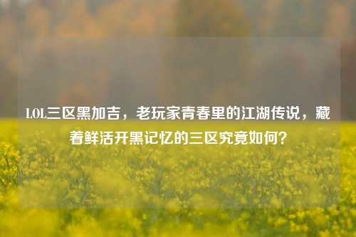 LOL三区黑加吉,老玩家青春里的江湖传说,藏着鲜活开黑记忆的三区究竟如何?