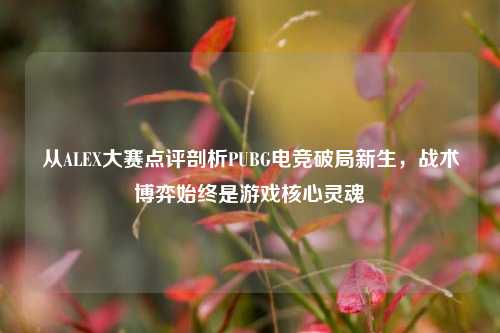 从ALEX大赛点评剖析PUBG电竞破局新生,战术博弈始终是游戏核心灵魂