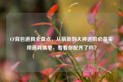 CF背包道具全盘点,从萌新到大神进阶必备实用道具清单,看看你配齐了吗?