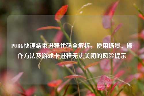 PUBG快速结束进程代码全解析,使用场景、操作方法及游戏卡进程无法关闭的风险提示