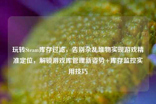 玩转Steam库存过滤,告别杂乱堆物实现游戏精准定位,解锁游戏库管理新姿势+库存监控实用技巧