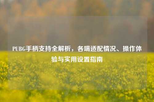 PUBG手柄支持全解析,各端适配情况、操作体验与实用设置指南