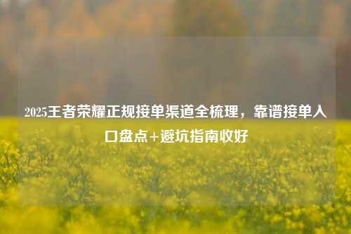 2025王者荣耀正规接单渠道全梳理,靠谱接单入口盘点+避坑指南收好