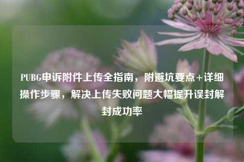 PUBG申诉附件上传全指南,附避坑要点+详细操作步骤,解决上传失败问题大幅提升误封解封成功率
