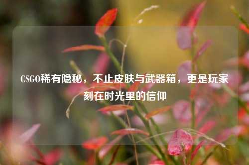 CSGO稀有隐秘，不止皮肤与武器箱，更是玩家刻在时光里的信仰
