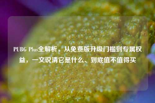 PUBG Plus全解析，从免费版升级门槛到专属权益，一文说清它是什么、到底值不值得买