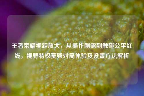王者荣耀视距放大,从操作刚需到触碰公平红线,视野特权莫毁对局体验及设置方法解析