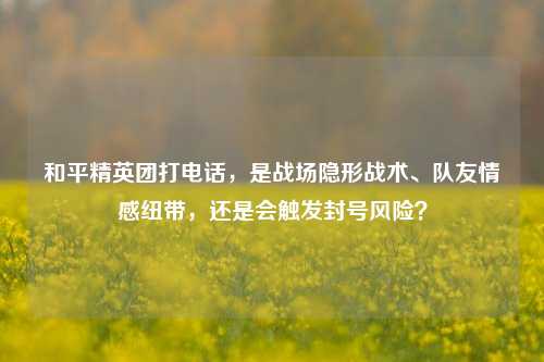 和平精英团打电话,是战场隐形战术、队友情感纽带,还是会触发封号风险?