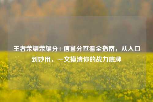 王者荣耀荣耀分+信誉分查看全指南，从入口到妙用，一文摸清你的战力底牌