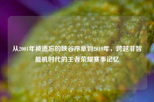 从2001年被遗忘的峡谷序章到2019年,跨越非智能机时代的王者荣耀赛事记忆