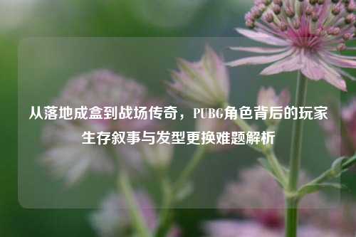 从落地成盒到战场传奇,PUBG角色背后的玩家生存叙事与发型更换难题解析