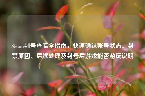 Steam封号查看全指南,快速确认账号状态、封禁原因、后续处理及封号后游戏能否游玩说明