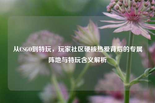 从CSGO到特玩，玩家社区硬核热爱背后的专属阵地与特玩含义解析