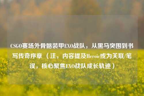 CSGO赛场外骨骼装甲EXO战队，从黑马突围到书写传奇序章 （注，内容提及Heroic或为关联/笔误，核心聚焦EXO战队成长轨迹）
