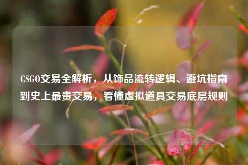 CSGO交易全解析,从饰品流转逻辑、避坑指南到史上最贵交易,看懂虚拟道具交易底层规则