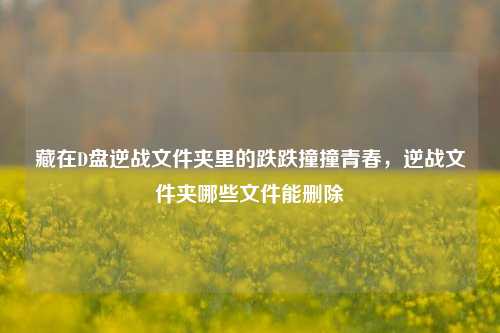 藏在D盘逆战文件夹里的跌跌撞撞青春,逆战文件夹哪些文件能删除