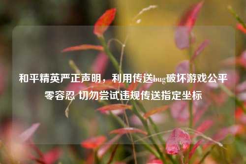 和平精英严正声明,利用传送bug破坏游戏公平零容忍 切勿尝试违规传送指定坐标