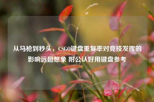 从马枪到秒头,CSGO键盘重复率对竞技发挥的影响远超想象 附公认好用键盘参考