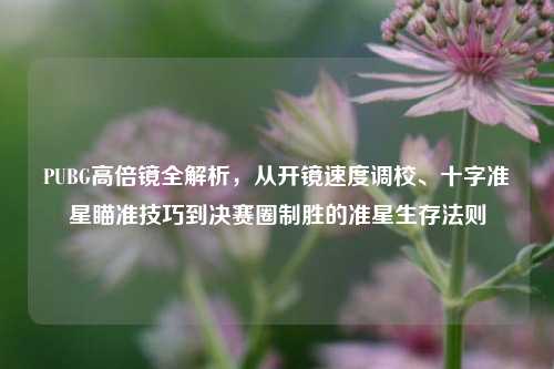PUBG高倍镜全解析,从开镜速度调校、十字准星瞄准技巧到决赛圈制胜的准星生存法则