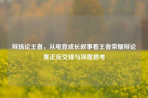 辩场论王者,从电竞成长叙事看王者荣耀辩论赛正反交锋与深度思考