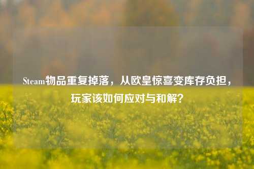 Steam物品重复掉落,从欧皇惊喜变库存负担,玩家该如何应对与和解?