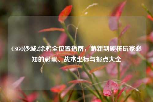 CSGO沙城2涂鸦全位置指南,萌新到硬核玩家必知的彩蛋、战术坐标与报点大全