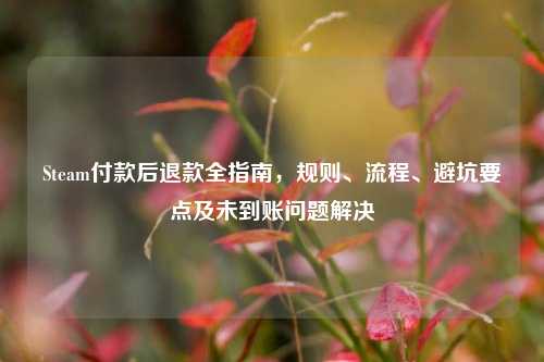 Steam付款后退款全指南，规则、流程、避坑要点及未到账问题解决